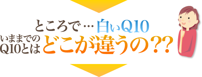 どこが違うの？？