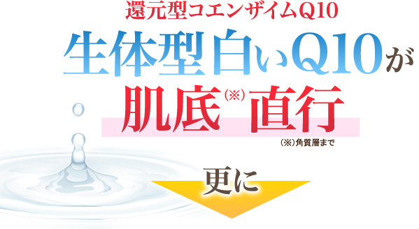 生体型白いQ10が肌底直行