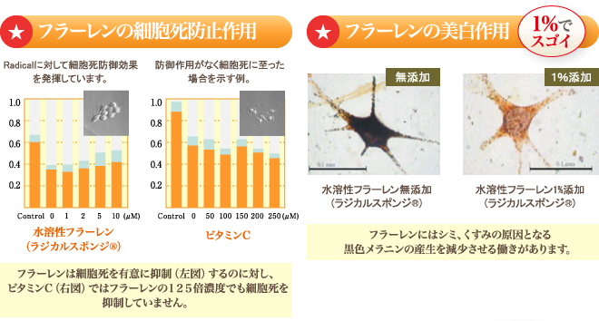 フラーレンの細胞死防止・美白作用