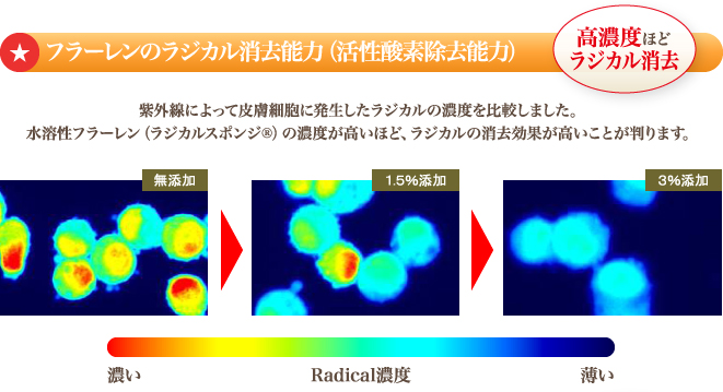 フラーレンのラジカル消去能力