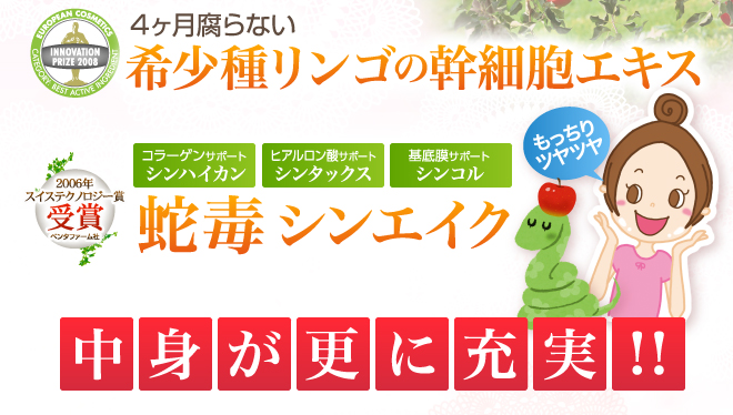 中身が更に充実!
