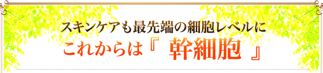 これからは幹細胞