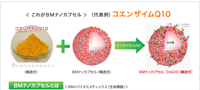 < これがBMナノカプセル > (代表例)コエンザイムQ10